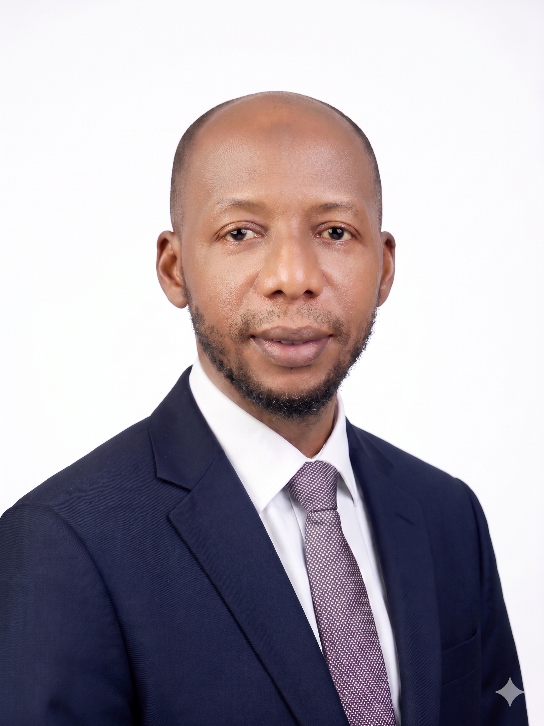 Auwal Idris - CEO